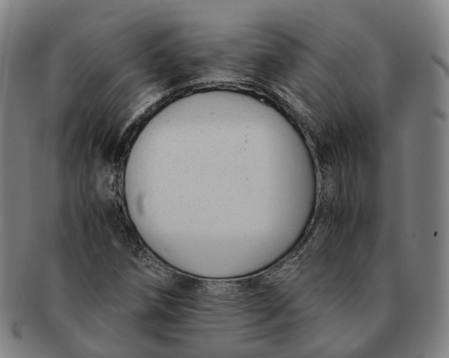 X0000091011258200708241504