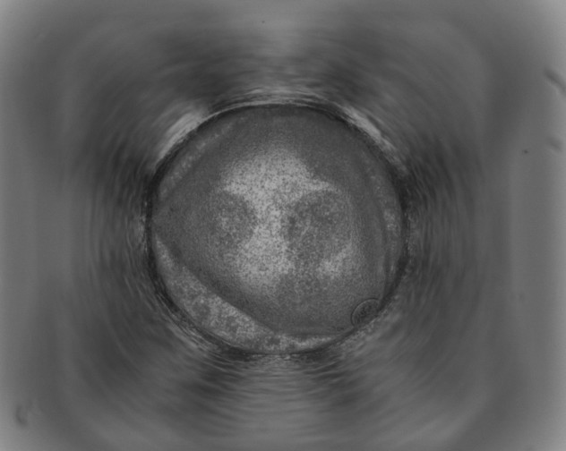 X0000091011259200708241504