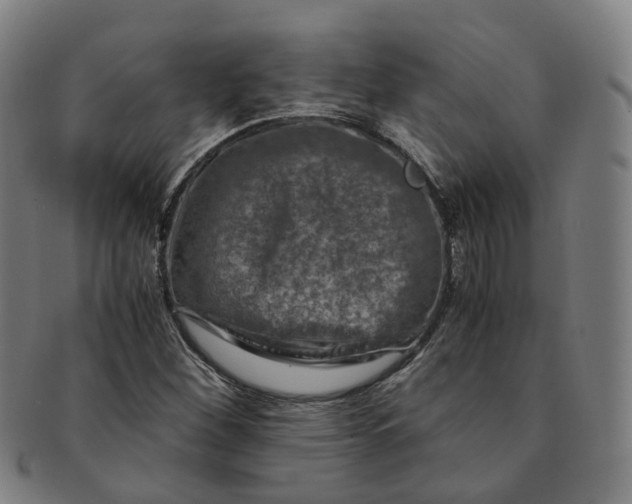 X0000091011260200708241504