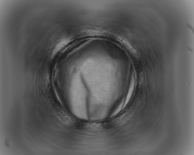 X0000091011261200708241504