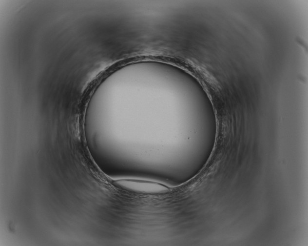 X0000091011262200708241504