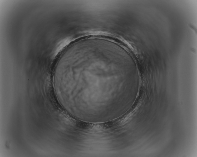 X0000091011263200708241504