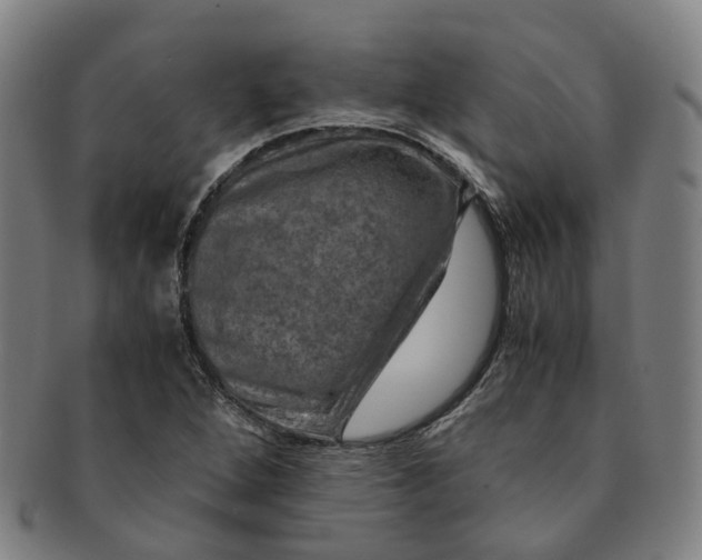 X0000091011264200708241504