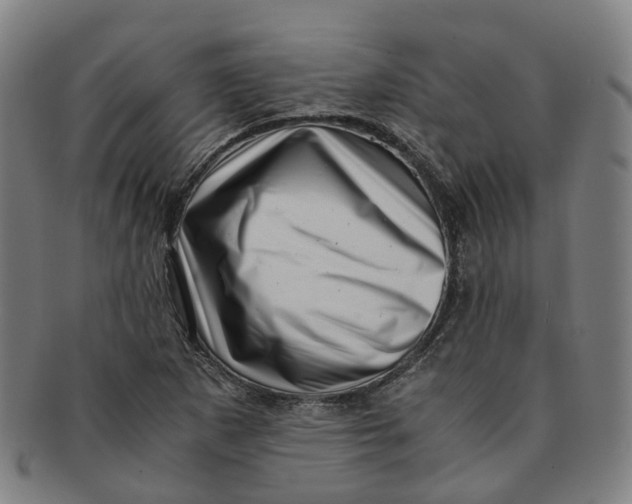 X0000091011265200708241504