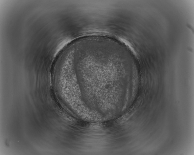 X0000091011267200708241504