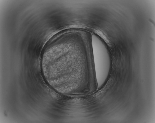 X0000091011268200708241504