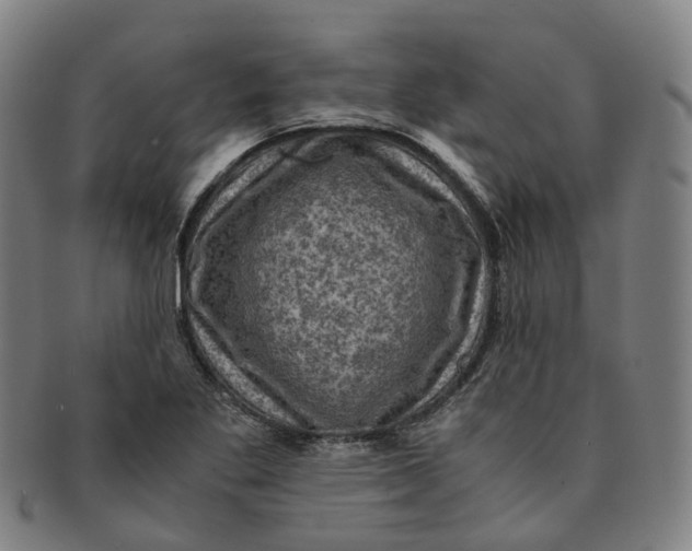 X0000091011269200708241504