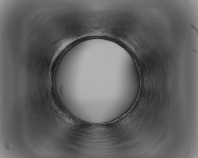 X0000091011270200708241504