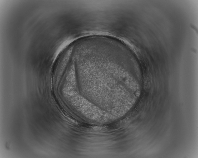 X0000091011271200708241504