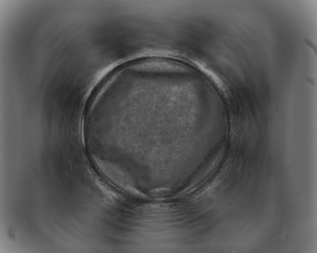 X0000091011272200708241504