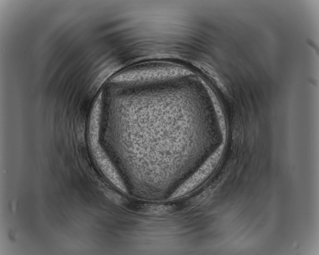 X0000091011273200708241504