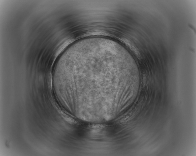 X0000091011274200708241504