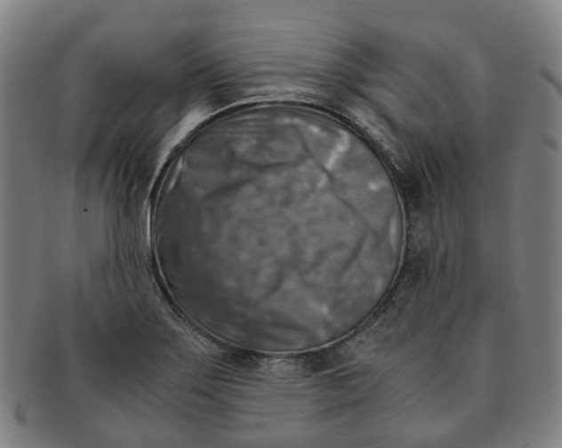 X0000091011275200708241504