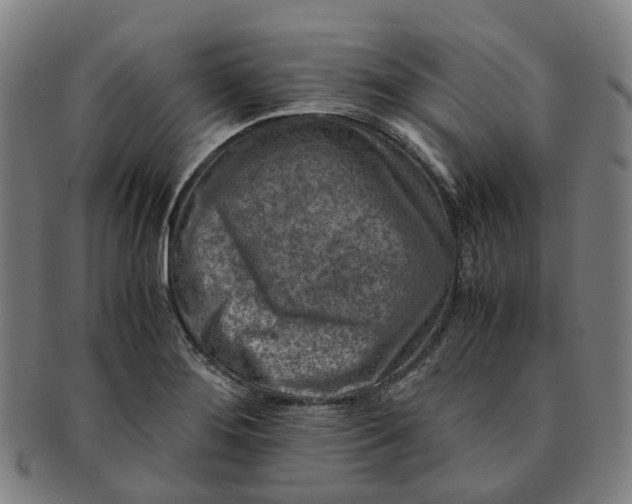 X0000091011276200708241504