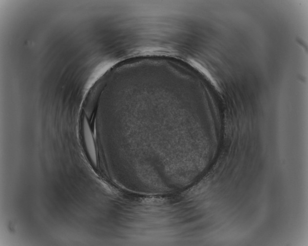 X0000091011277200708241504