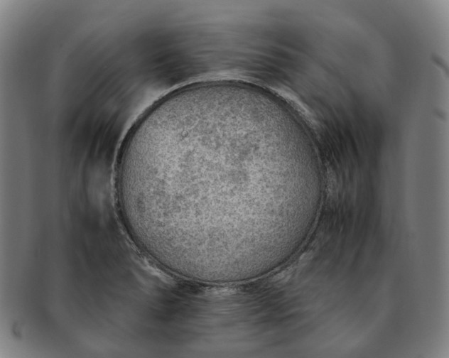 X0000091011278200708241504