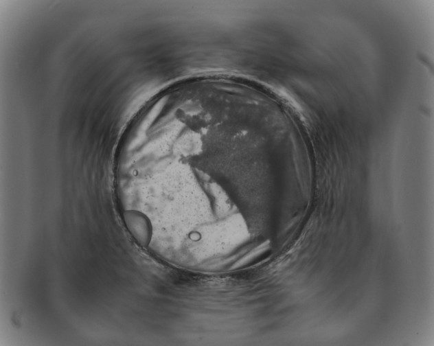 X0000091011279200708241504