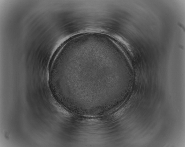 X0000091011280200708241504