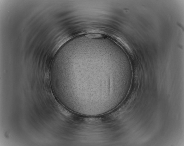 X0000091011281200708241504