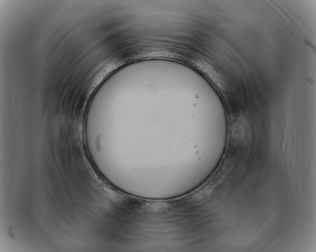 X0000091011282200708241504