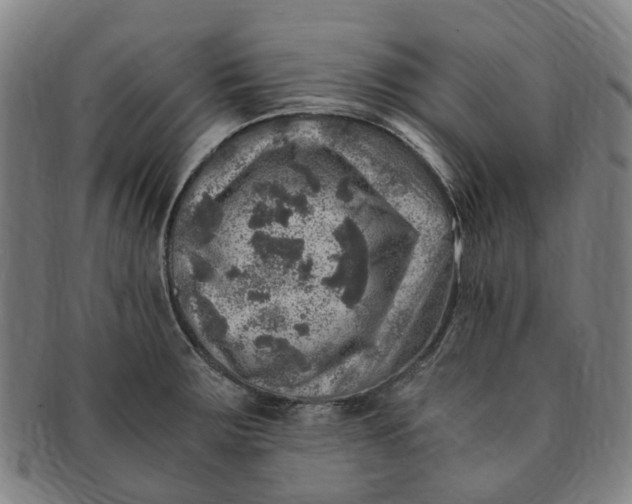 X0000091011283200708241504