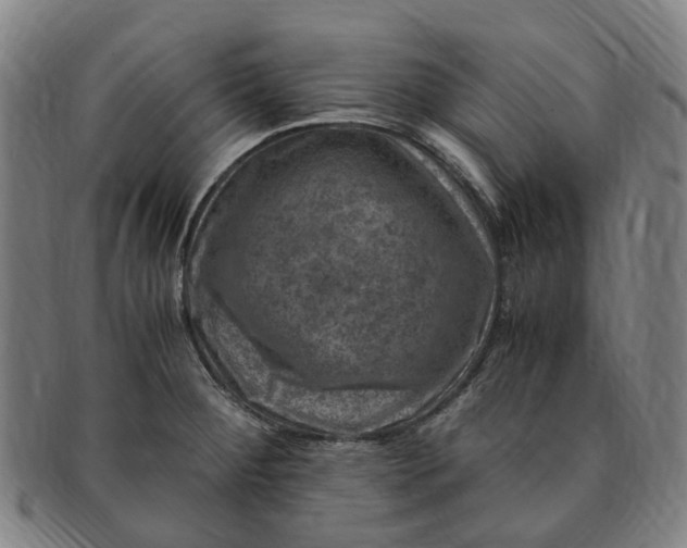 X0000091011284200708241504