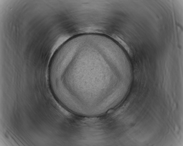 X0000091011285200708241504