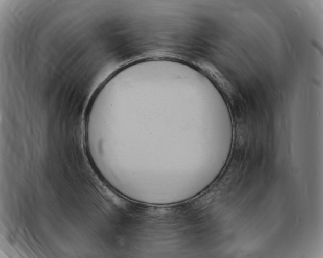 X0000091011286200708241504