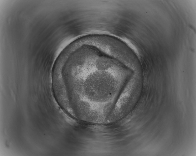 X0000091011287200708241504