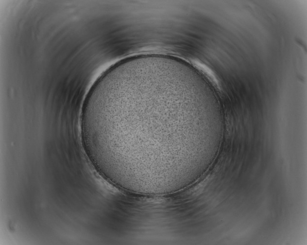 X0000091011288200708241504