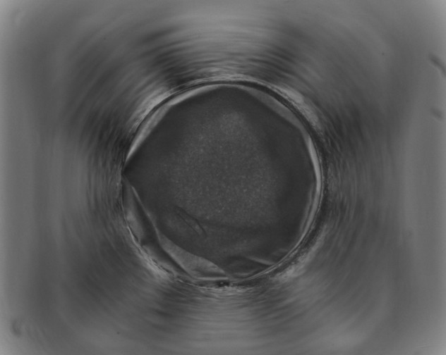 X0000091011289200708241504