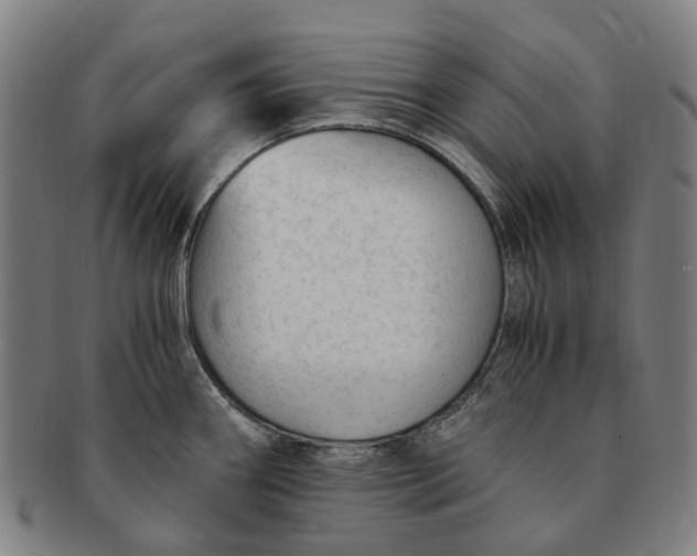 X0000091011290200708241504