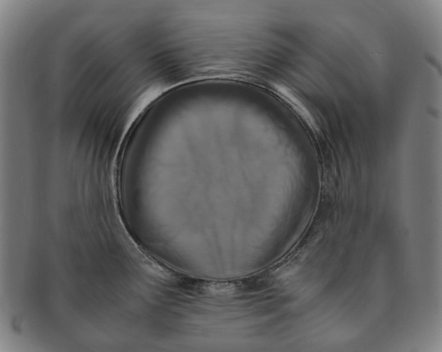 X0000091011291200708241504