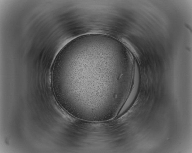 X0000091011292200708241504