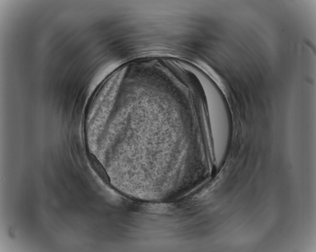 X0000091011293200708241504