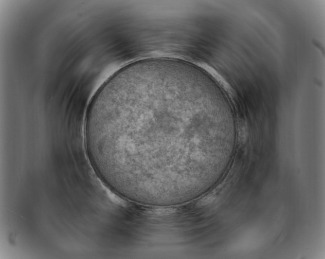 X0000091011294200708241504