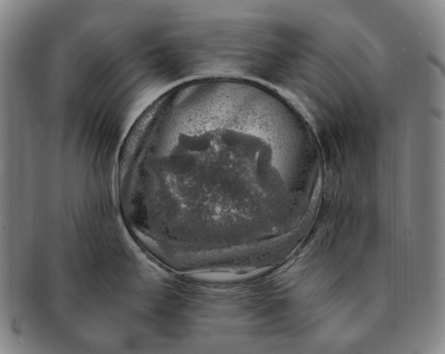 X0000091011295200708241504