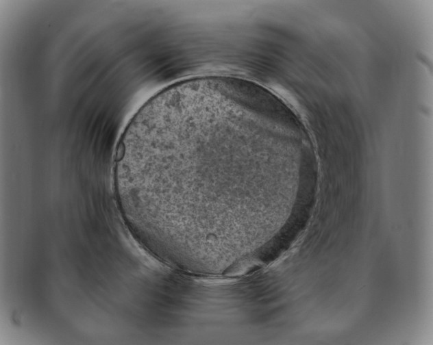 X0000091011296200708241504