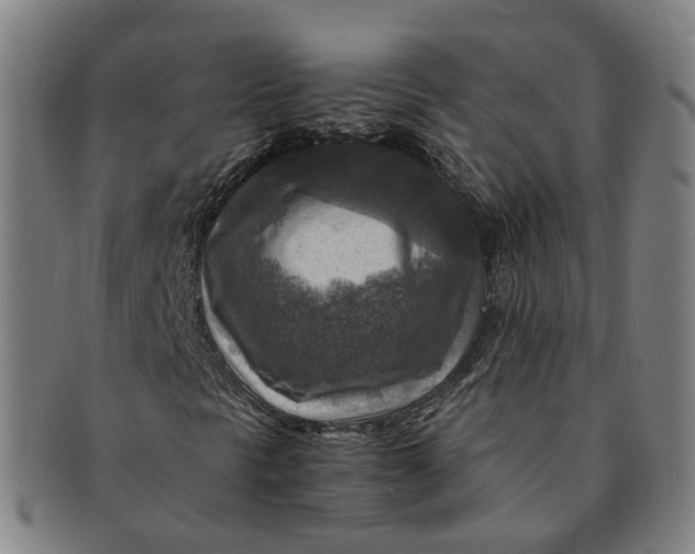 X0000091011297200708241503