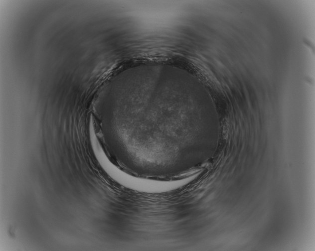 X0000091011298200708241503