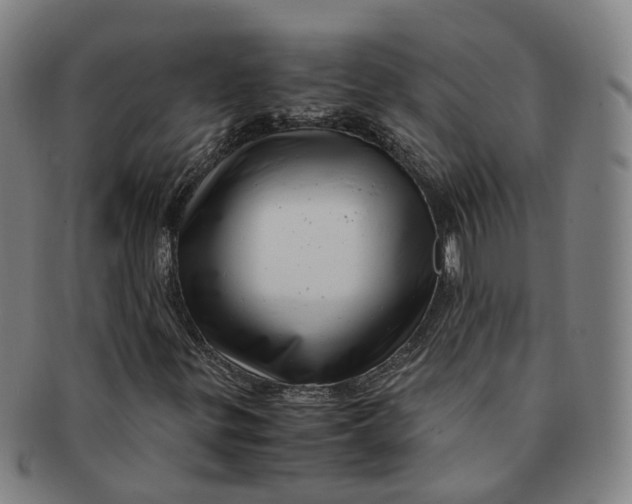 X0000091011299200708241503