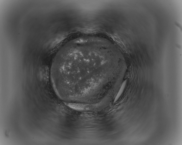 X0000091011301200708241503