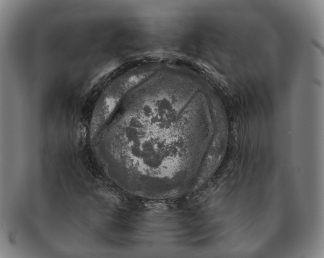 X0000091011302200708241503