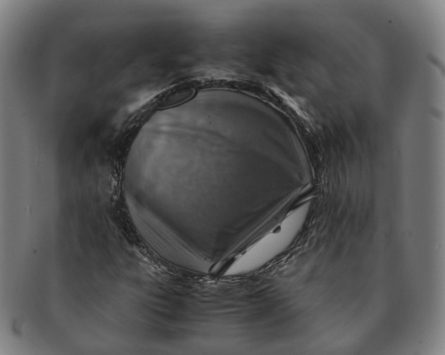 X0000091011303200708241503