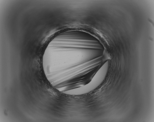 X0000091011304200708241503