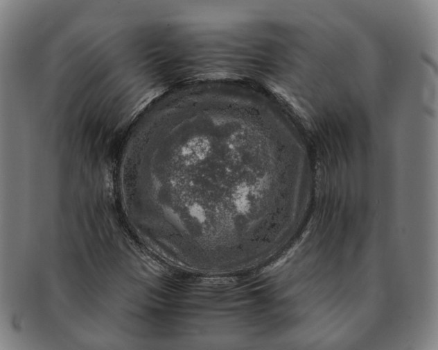 X0000091011305200708241503