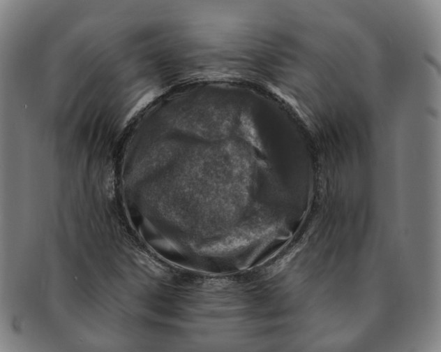 X0000091011306200708241503