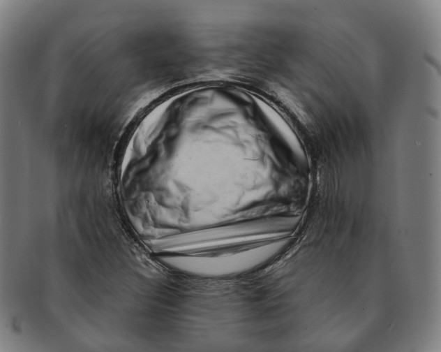 X0000091011308200708241503