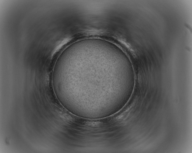 X0000091011309200708241503