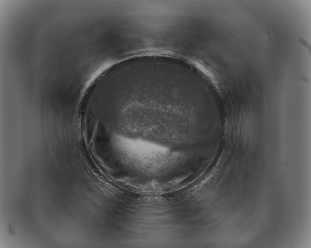 X0000091011310200708241503